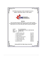 tiểu luận phân tích môi trường marketing của xe máy điện datbike weaver 200 đề xuất chiến lược mô hình kéo và đẩy trong hoạt động quảng cáo