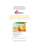 tiểu luận phân tích chiến lược kinhdoanh của thương hiệu tràlipton của tập đoàn unilever