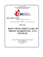 tiểu luận phân tích chiến lược 4ptrong marketing củanetflix