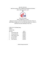 tiểu luận ứng dụng lý thuyết marketing để phân tích cáchoạt động marketing của sản phẩm bia tiger của công tytnhh nhà máy bia heineken việt nam