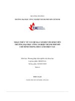 tiểu luận nhận thức về vấn đề đa cấp đối với sinh viêntrường đại học công nghiệp thành phố hồchí minh trong bối cảnh hiện nay