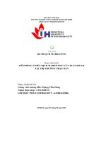 tiểu luận mô phỏng chiến dịch marketing của elsa speaktại thị trường nhật bản