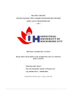 tiểu luận đề bài phân tích chiến lược marketing 4ps của thươnghiệu cocoon