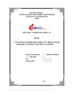 tiểu luận ứng dụng marketing điện tử trong kinh doanh cửa hàng túi jean custom
