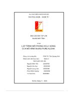 báo cáo bài tập lớn lập trình mô phỏng hoạt động của mô hình mạng pure aloha