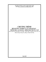 CHƯƠNG TRÌNH BỒI DƯỠNG NGHIỆP VỤ SƯ PHẠM DẠY TRÌNH ĐỘ CAO ĐẲNG, TRÌNH ĐỘ TRUNG CẤP