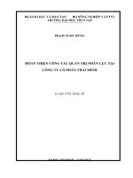 LUẬN VĂN THẠC SĨ HOÀN THIỆN CÔNG TÁC QUẢN TRỊ NHÂN LỰC TẠI CÔNG TY CỔ PHẦN THÁI MINH