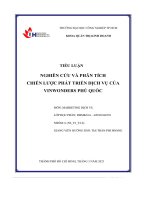 tiểu luận nghiên cứu và phân tích chiến lược phát triển dịch vụ của vinwonders phú quốc