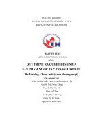 tiểu luận quy trình ra quyết định muasản phẩm nước tẩy trang lorealrefreshing tươi mát xanh dương nhạt