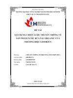 tiểu luận đề tài xây dựng chiến lược truyền thông vềsản phẩm nước rửa tay organic củathương hiệu lifebouy