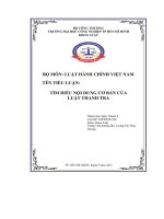 tiểu luận tìm hiểu nội dung cơ bản củaluật thanh tra