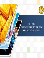 Bài giảng TỔNG QUAN VỀ MÔI TRƯỜNG ĐẦU TƯ CHỨNG KHOÁN