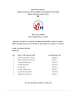 tiểu luận ứng dụng lý thuyết marketing để phân tích các hoạtđộng marketing của sản phẩm xe máy điện của công ty vinfast