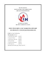 tiểu luận phân tích chiến lược marketing hỗn hợp sản phẩm sữa tắm enchanteur deluxe