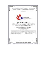 tiểu luận môn kỹ năng làm việc nhóm chủ đề phát cơm cho những người vô gia cư