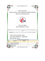 tiểu luận khảo sát thị trường và tạo ra một sản phẩm dành riêng chonam thực phẩm chức năng dành cho nam once for men