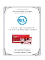 bản kế hoạch ra sản phẩm mới