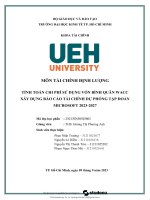 tiểu luận tính toán chi phí sử dụng vốn bình quân wacc xây dựng báo cáo tài chính dự phóng tập đoàn microsoft 2023 2027