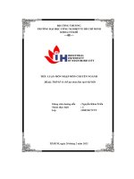 tiểu luận môn nhập môn chuyên ngành đề tài thiết kế và chế tạo máy làm sạch bãi biển