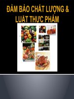 Bài giảng Đảm bảo chất lượng & luật thực phẩm ( combo full slides 4 chương )