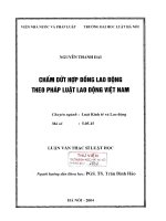 Luận văn thạc sĩ luật học: Chấm dứt hợp đồng lao động theo pháp luật Việt Nam