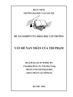 Đề tài nghiên cứu khoa học cấp Trường: Vấn đề nạn nhân của tội phạm
