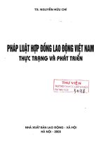 Pháp luật hợp đồng lao động Việt Nam thực trạng và phát triển -  Nguyễn Hữu Chí