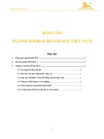 BÁO CÁO NGÀNH FOOD AMP; BEVERAGE VIỆT NAM