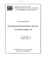 Kỷ yếu hội thảo khoa học: Xâm phạm quyền sở hữu trí tuệ và công nghệ cao