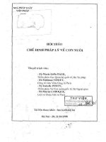 Kỷ yếu hội thảo khoa học: Chế định pháp lý về con nuôi