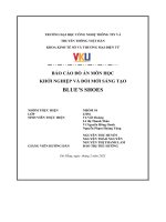 báo cáo đồ án môn họckhởi nghiệp và đổi mới sáng tạoblues shoes