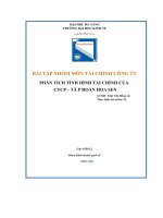 phân tích tình hình tài chính của công ty ctcp tâp đoàn hoa sen