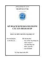 kế hoạch kinh doanh online các sản phẩm ocop