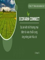 ecofarm connect dự án kết nối thương mại điện tử vào chuỗi cung ứng nông sản hũu cơ