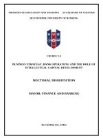 Business strategy, bank operation, and the role of intellectual capital development