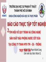 tìm hiểu về quy trình và công nghệ sản xuất đậu phộng nước cốt dừa tại công ty tnhh mtv tm sx trồng trọt tân tân