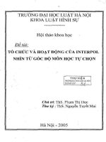 Kỷ yếu hội thảo khoa học: Tổ chức và hoạt động của Interpol nhìn từ góc độ môn học tự chọn