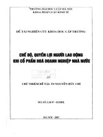 Đề tài nghiên cứu khoa học cấp Trường: Chế độ, quyền lợi người lao động khi cổ phần hoá doanh nghiệp nhà nước