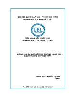 Tiểu Luận Mô Tả Đặc Điểm Thị Trường Hàng Hóa Dịch Vụ Xăng Dầu Việt Nam.pdf