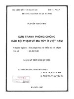 Luận án tiến sĩ luật học: Đấu tranh phòng chống các tội phạm về ma tuý ở Việt Nam