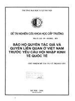 Đề tài nghiên cứu khoa học cấp Trường: Bảo hộ quyền tác giả và quyền liên quan ở Việt Nam trước yêu cầu hội nhập kinh tế quốc tế