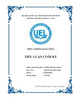 tiểu luận hoàn thiện cơ chế thực hiện đấu giá quyền sử dụng đất