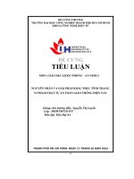 nguyên nhân và giải pháp khắc phục tình trạngvi phạm trật tự an toàn giao thông hiện nay