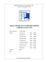 nghiên cứu rủi ro trong quá chuỗi vận chuyển hàng hóa của doanh nghiệp vận chuyển hàng hóa jt express