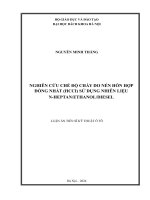 nghiên cứu chế độ cháy do nén hỗn hợp đồng nhất hcci sử dụng nhiên liệu n heptanethanoldiesel