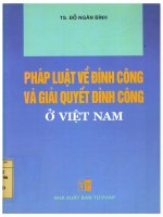 Pháp luật về đình công và giải quyết đình công ở Việt Nam - Đỗ Ngân Bình