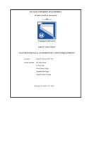 coporate financegroup assignmentanalyzing financial statements of a vietnamese company