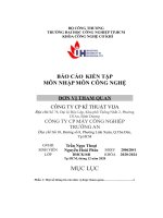 báo cáo kiến tậpmôn nhập môn công nghệ công ty cp kĩ thuật vija