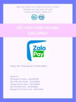 phân tích mô hình kinh doanh zalopay