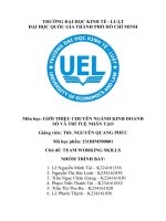 Tiểu Luận Môn Giới Thiệu Ngành Kinh Doanh Số & Trí Tuệ Nhân Tạo.pdf